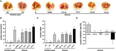 Lycopene Aggravates Acute Gastric Injury Induced by Ethanol